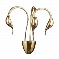 бра lightstar cigno collo 751632 в Новокузнецке