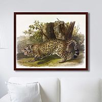 картина: jaguar, 1841г. в Новокузнецке