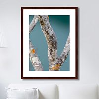 картина: trees on the galapagos islands, ecuador no3 в Новокузнецке