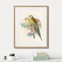 картина: love parrots, 1850г. в Новокузнецке