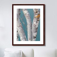 картина: trees on the galapagos islands, ecuador no1 в Новокузнецке