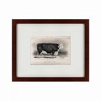 картина: a hereford bull, 1849 в Новокузнецке