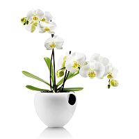 горшок для орхидеи orchid pot белый в Новокузнецке