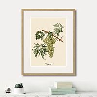 картина juicy fruit lithography №13, 1870 г., 42х52 см в Новокузнецке