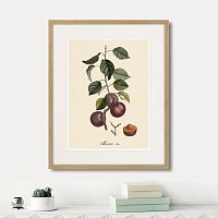 картина: juicy fruit lithography №6, 1870г. в Новокузнецке