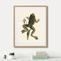 картина: big jumping frog, 1745г. в Новокузнецке