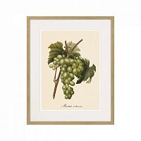 картина juicy fruit lithography №13-1, 1870 г., 42х52 см в Новокузнецке