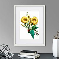 картина: caribian flora yellow allamanda, 1740г. в Новокузнецке