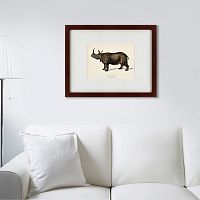 картина: rhinoceros ancienne gravure, 1849 в Новокузнецке