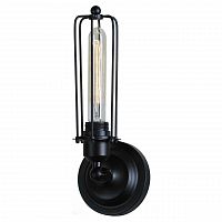 бра st luce filo sld968.401.01 в Новокузнецке