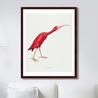 картина: scarlet ibis, 1827г. в Новокузнецке