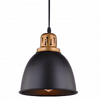 подвесной светильник arte lamp eurica a4245sp-1bk в Новокузнецке