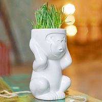 горшок для растений eco игнорик в Новокузнецке