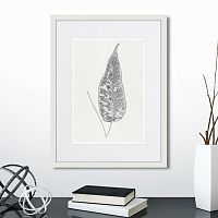 картина: the fern collection №5 в Новокузнецке