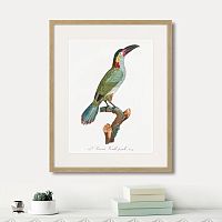 картина: beautiful toucans №3, 1806г. в Новокузнецке