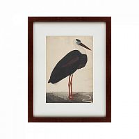 картина: black stork in a landscape, индия, 1780 в Новокузнецке