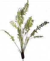 декор fern plant в Новокузнецке