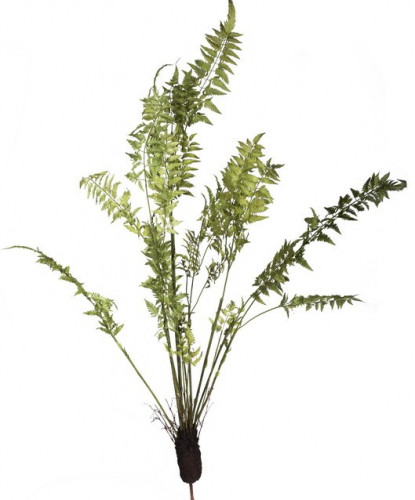 декор fern plant в Новокузнецке