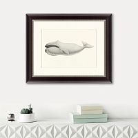 картина: bowhead whale (balaena mysticetus), 1856 в Новокузнецке