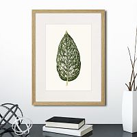 картина: single leaf of a plant №1, 1865г. в Новокузнецке