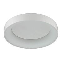 потолочный светодиодный светильник odeon light sole 4062/50cl в Новокузнецке